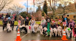 Mills Creek Santa Parade
